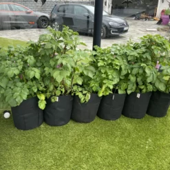 Potetpotte 35x40cm -Møbler Salgsbutikk org 3FA25E5E A317 4868 B716 734A20DD8873 scaled