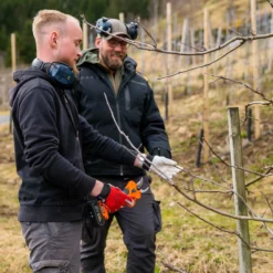 Beskjæringssaks Elektrisk 30mm -Møbler Salgsbutikk org Beskjaering 0004 P1025815 scaled
