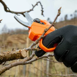 Beskjæringssaks Elektrisk 30mm -Møbler Salgsbutikk org Beskjaering 0023 P1025758 scaled