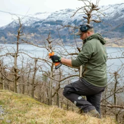 Beskjæringssaks Elektrisk 30mm -Møbler Salgsbutikk org Beskjaering 0024 P1025749 scaled