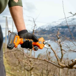 Beskjæringssaks Elektrisk 30mm -Møbler Salgsbutikk org Beskjaering 0028 P1025740 scaled