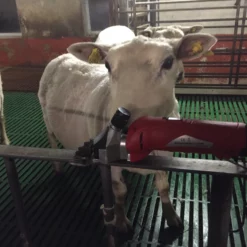 Klippemaskin For Sau SC-008 Oppladbar -Møbler Salgsbutikk org IMG 4433