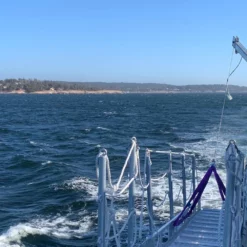 Kran Viktor Galvanisert Uten Vinsj 1000 Kg 23 Kran Viktor Galvanisert Uten Vinsj 1000 Kg -Møbler Salgsbutikk org Kran Viktor galvanisert uten vinsj 1000kg 07