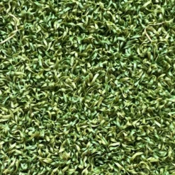 Kunstgress Åkra 2x25m Rull -Møbler Salgsbutikk org aakra kunstgress frisbeebane 081