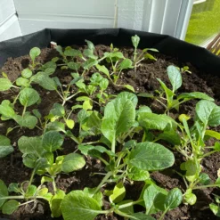 Blomsterpotte 96x50cm -Møbler Salgsbutikk org blomsterpotte20i20filt20poteter20.20gullerotter20gronsaker2020wee.no2015