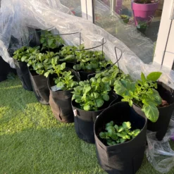 Potetpotte 35x40cm -Møbler Salgsbutikk org blomsterpotte20i20filt20poteter20.20gullerotter20gronsaker2020wee.no2035