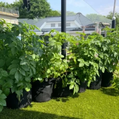 Blomsterpotte 127x30cm -Møbler Salgsbutikk org blomsterpotte20i20filt20wee.no20113