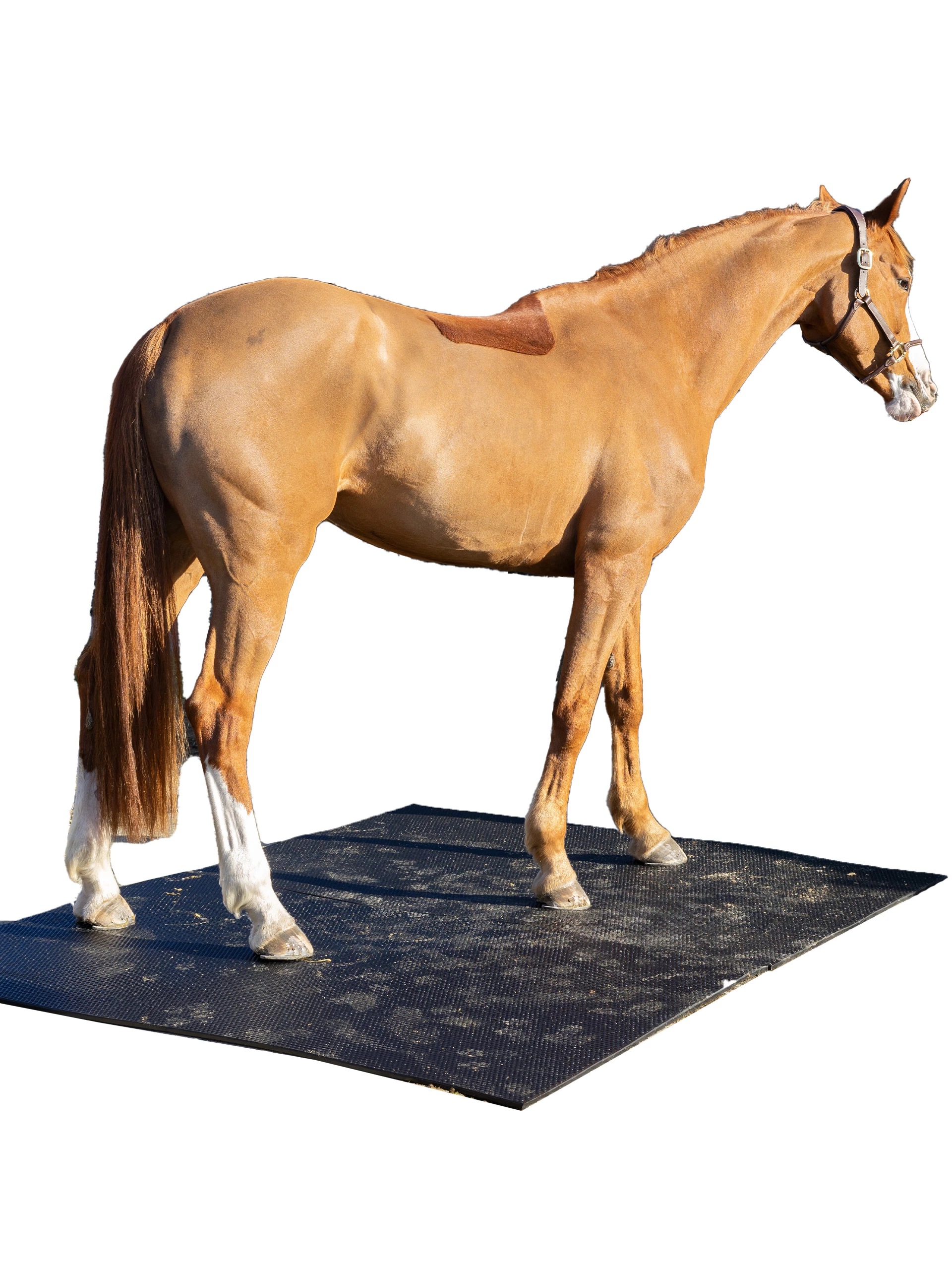 Bondematten I Gummi - Tykkelse 17 MM 3 Bondematten I Gummi - Tykkelse 17 MM