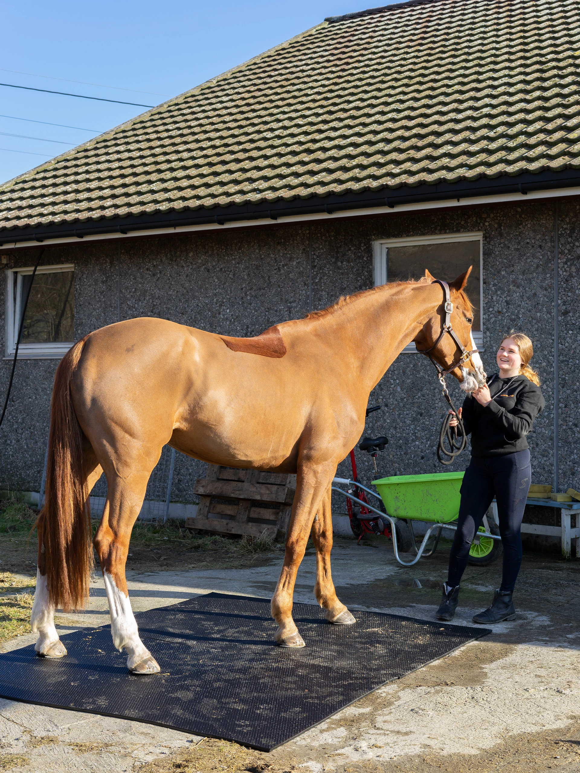 Bondematten I Gummi - Tykkelse 17 MM 8 Bondematten I Gummi - Tykkelse 17 MM - Bilde 6