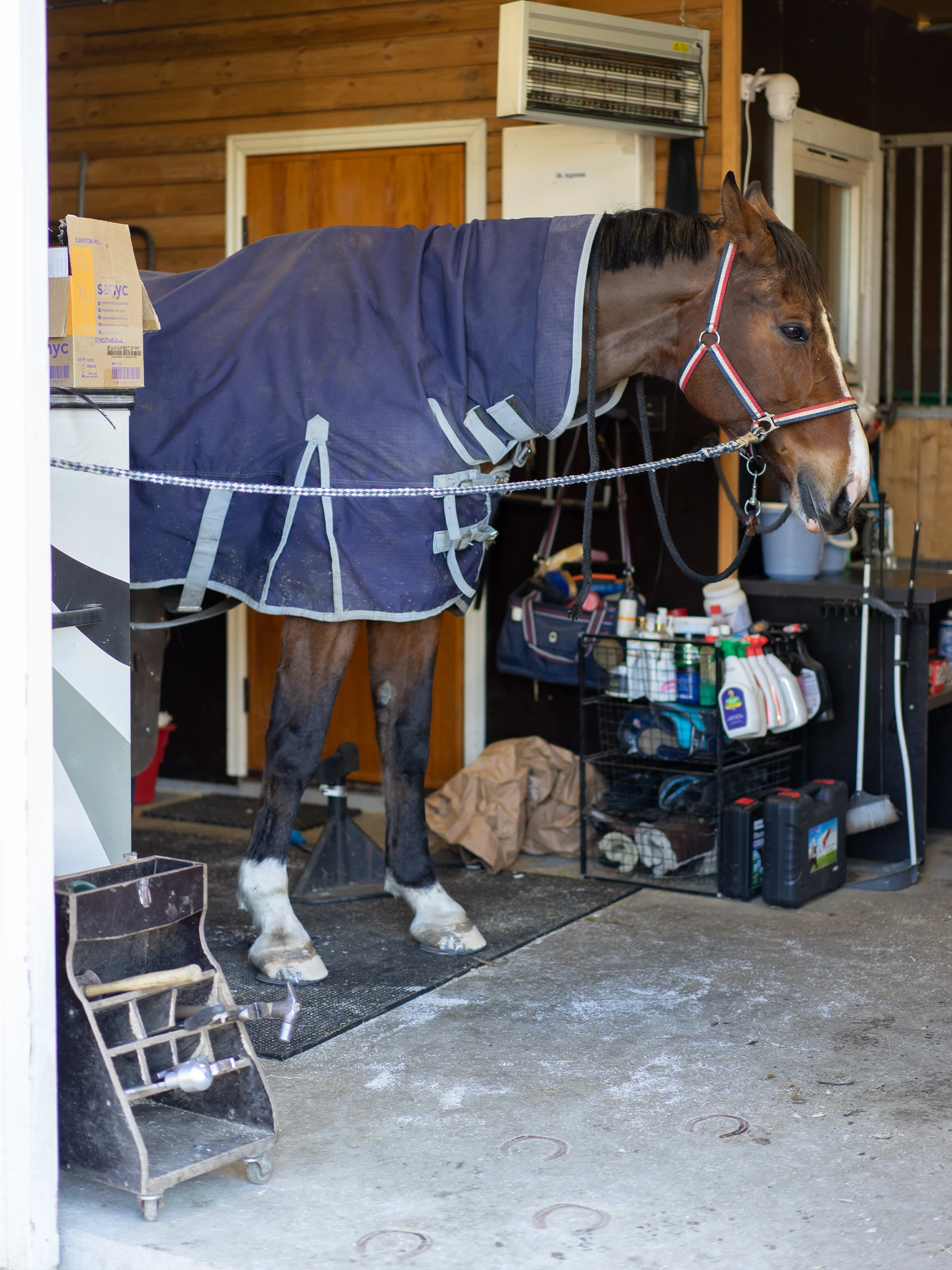 Bondematten I Gummi - Tykkelse 17 MM 12 Bondematten I Gummi - Tykkelse 17 MM - Bilde 10