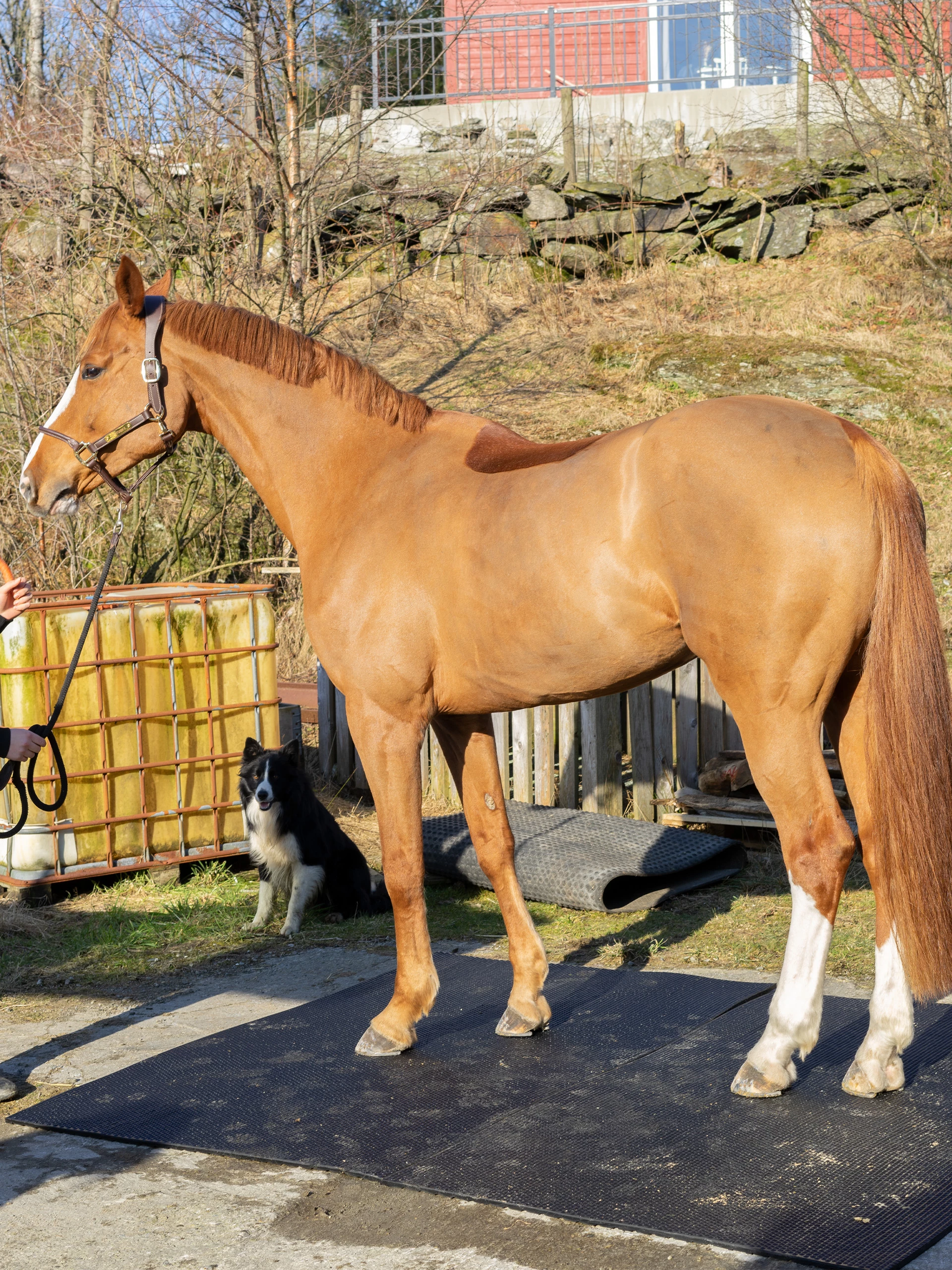 Bondematten I Gummi - Tykkelse 17 MM 6 Bondematten I Gummi - Tykkelse 17 MM - Bilde 4