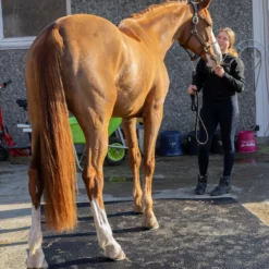 Bondematten I Gummi - Tykkelse 17 MM 16 Bondematten I Gummi - Tykkelse 17 MM -Møbler Salgsbutikk org bondematte 17 08