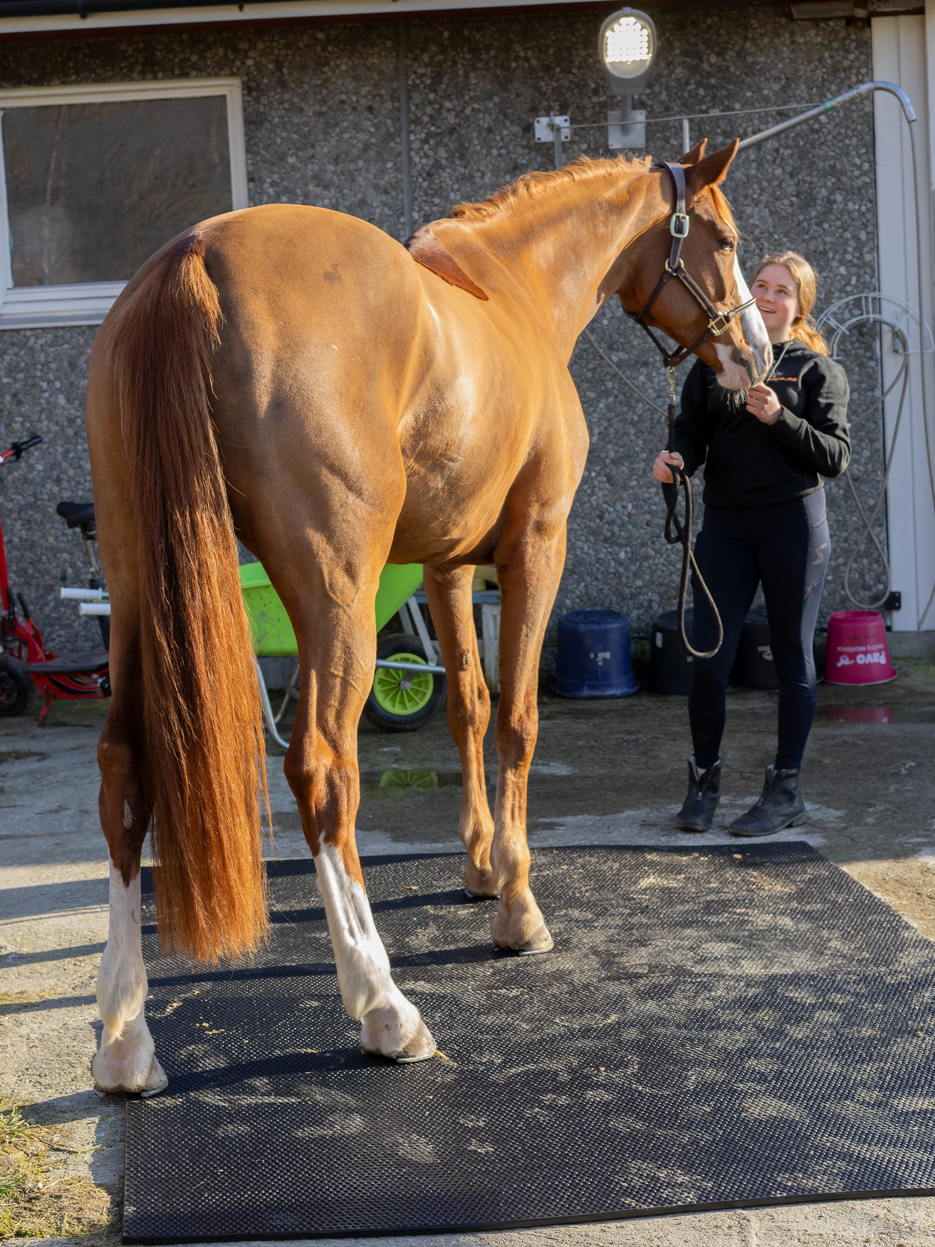 Bondematten I Gummi - Tykkelse 17 MM 7 Bondematten I Gummi - Tykkelse 17 MM - Bilde 5