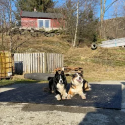 Bondematten I Gummi - Tykkelse 17 MM 19 Bondematten I Gummi - Tykkelse 17 MM -Møbler Salgsbutikk org bondematte 17 09