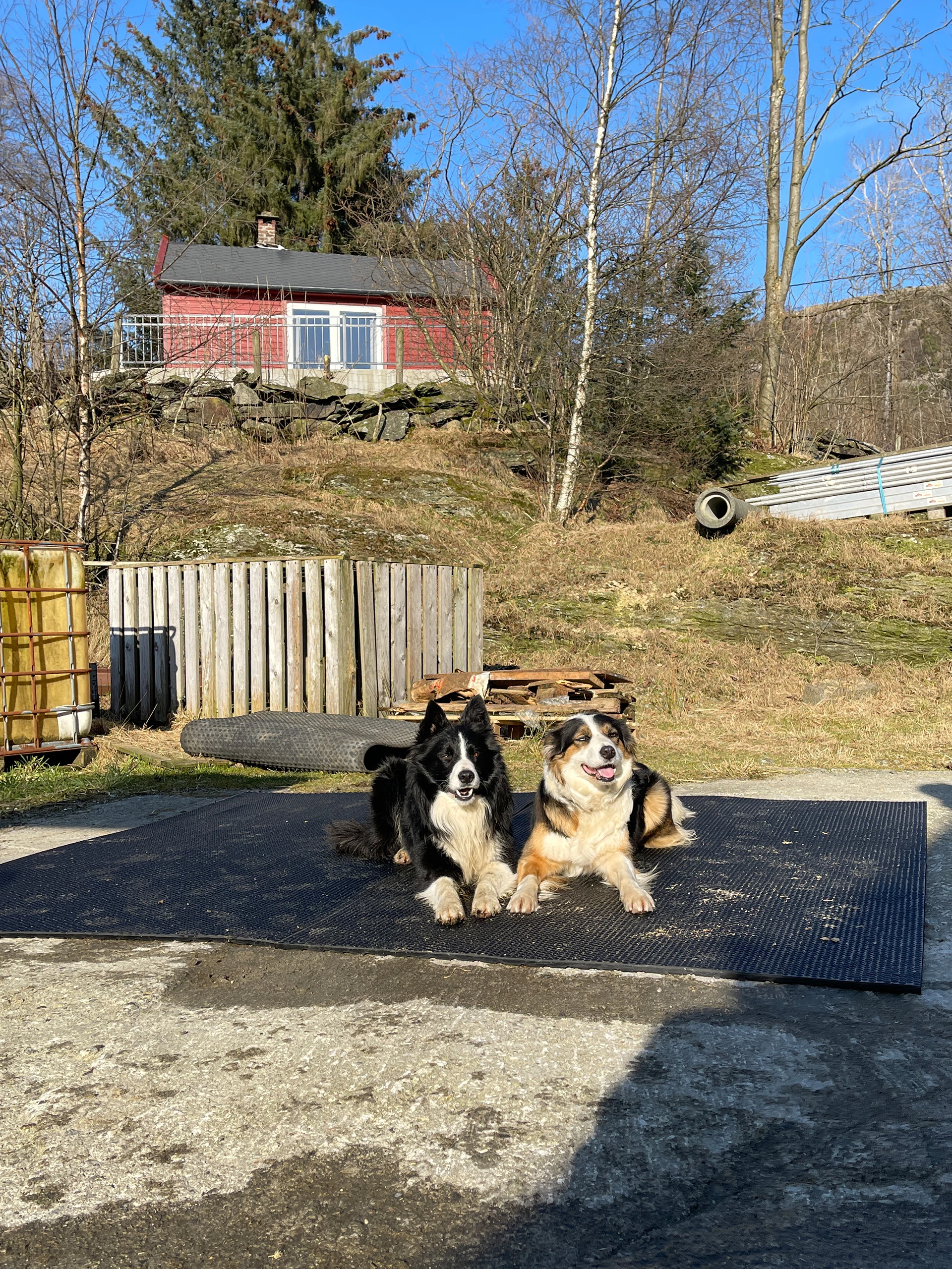 Bondematten I Gummi - Tykkelse 17 MM 10 Bondematten I Gummi - Tykkelse 17 MM - Bilde 8