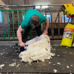 Klippemaskin For Sau SC-009 Oppladbar -Møbler Salgsbutikk org klippemaskin sau sc 009 oppladbar 06