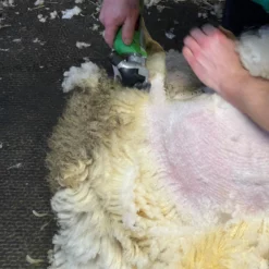 Klippemaskin For Sau SC-009 Oppladbar -Møbler Salgsbutikk org klippemaskin sau sc 009 oppladbar 08