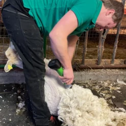 Klippemaskin For Sau SC-009 Oppladbar -Møbler Salgsbutikk org klippemaskin sau sc 009 oppladbar 10