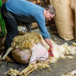 Klippemaskin For Sau SC-3015 Elektrisk -Møbler Salgsbutikk org klippemaskin sau sc 3015 elektrisk 05