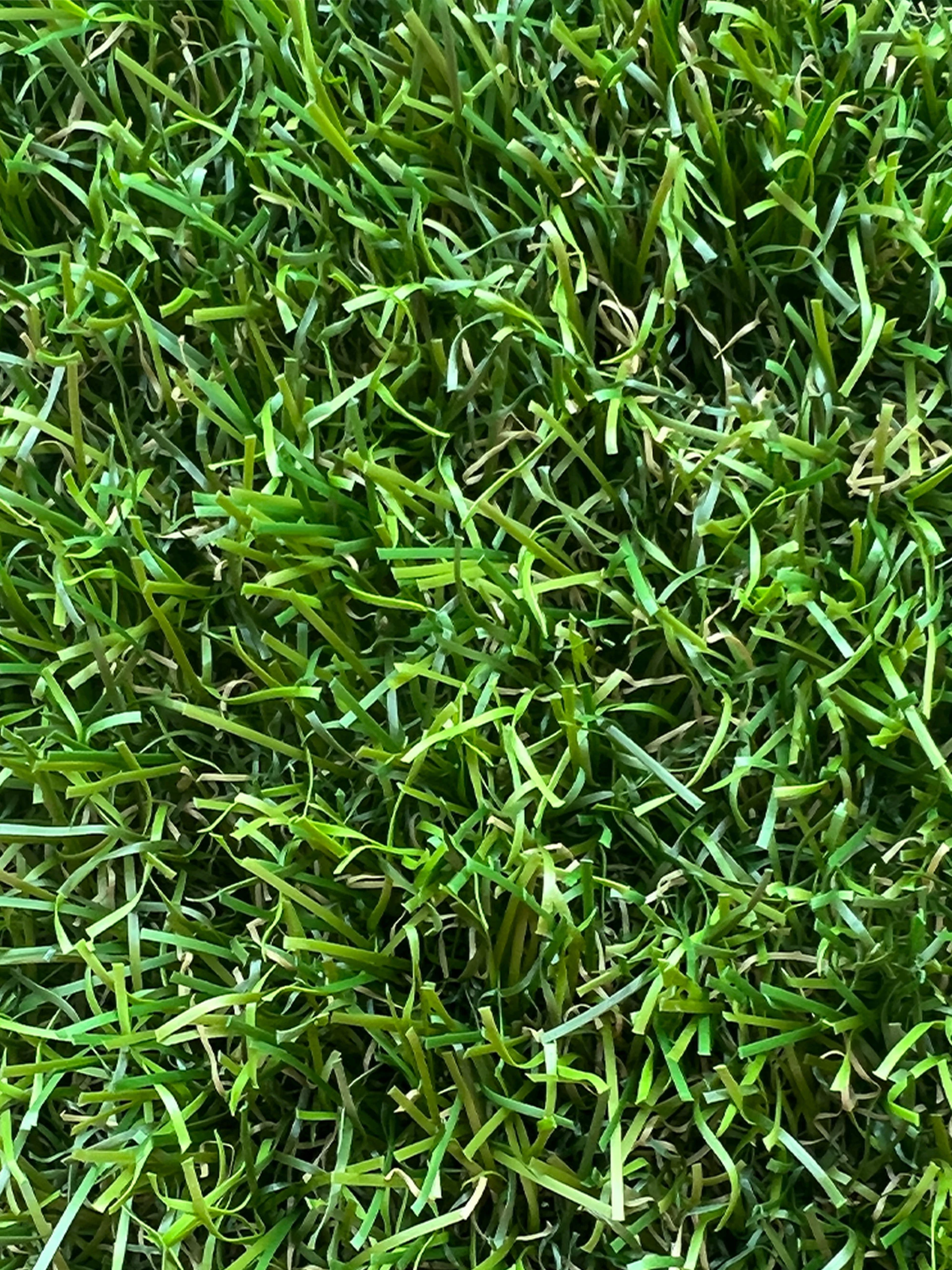 Kunstgress Hervik 4x25m Rull 11 Kunstgress Hervik 4x25m Rull - Bilde 9