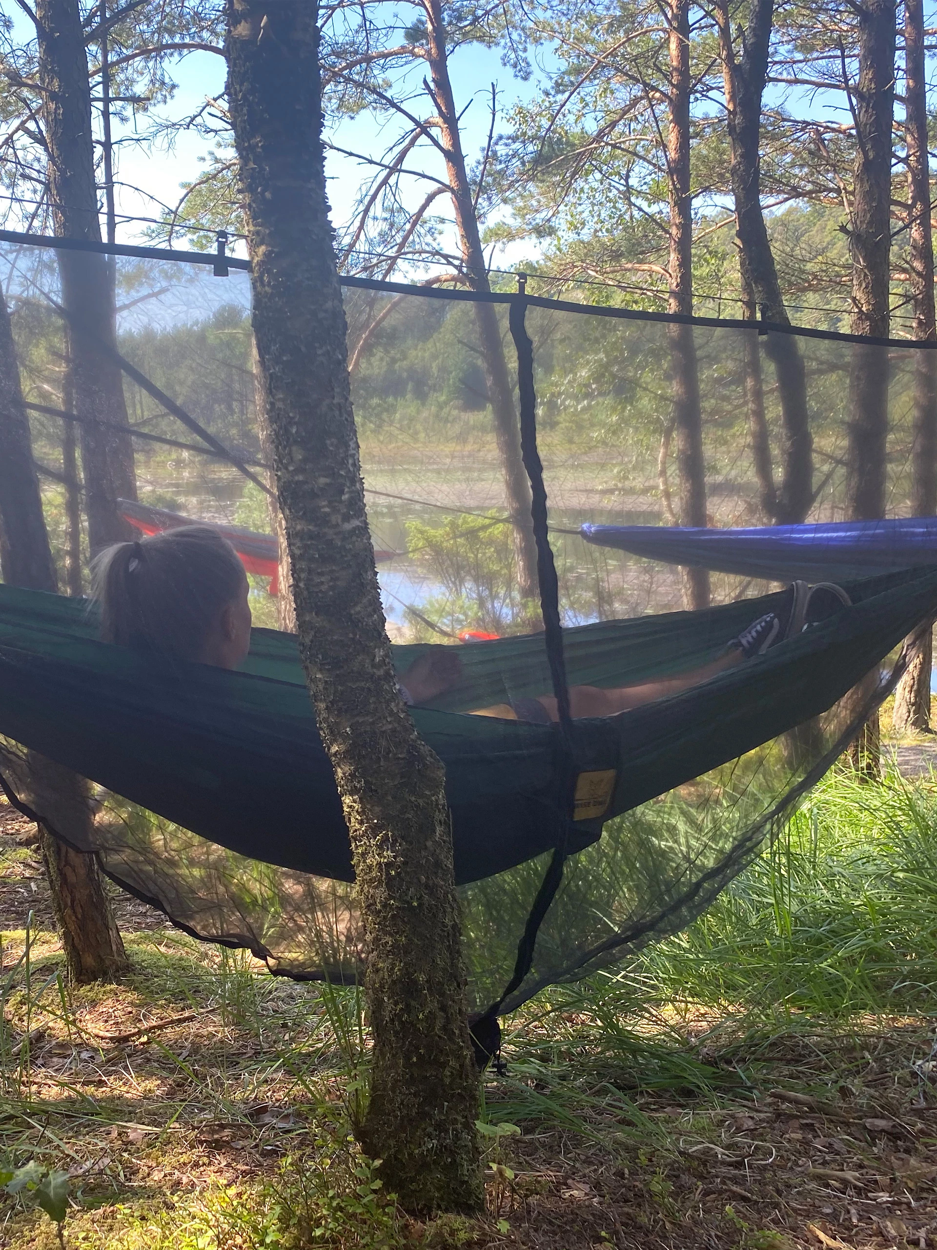 Myggnett Til Hengekøye 5 Myggnett Til Hengekøye - Bilde 3