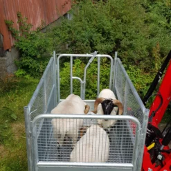 Transportkasse Kyr - Dyr- Sau Combi -Møbler Salgsbutikk org transportkasse kyr dyr 03