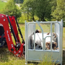 Transportkasse Kyr - Dyr- Sau Combi -Møbler Salgsbutikk org transportkasse kyr dyr 04